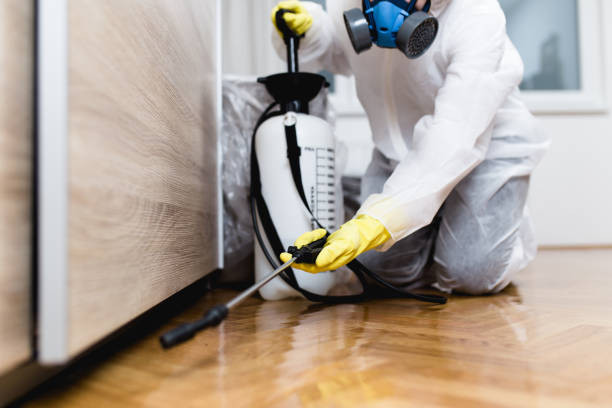 Flea Control Services in Alderwood Manor, WA