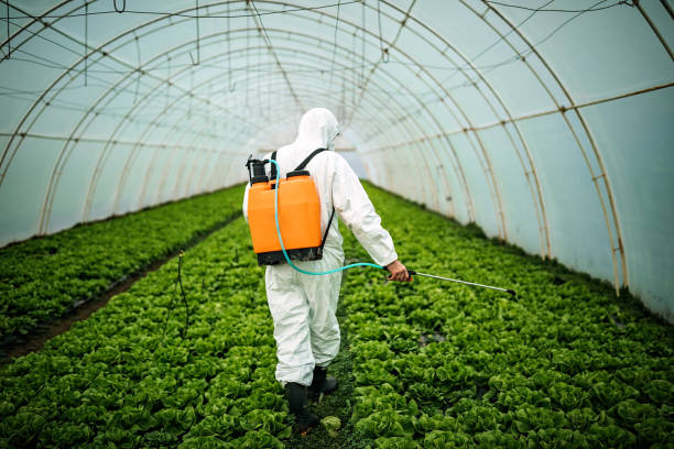 Professional Pest Control in Alderwood Manor, WA