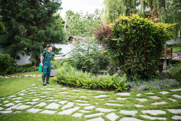 Best Flea Control Services  in Alderwood Manor, WA